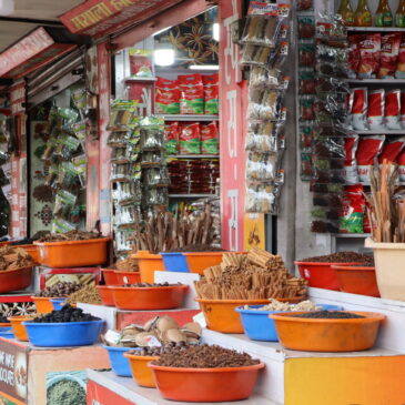 Tag 06 – Ein Tag in Kumily