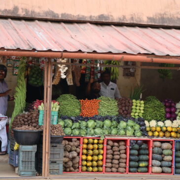 Tag 10 – In Richtung Meer