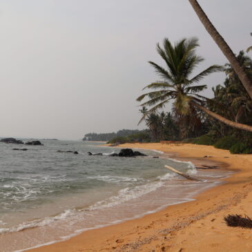 Tag 16 – Beobachtungen am Strand